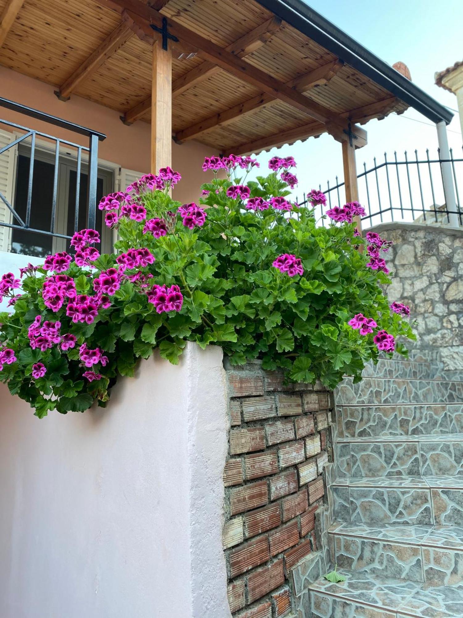 Gkoros House Old Town Vila Himare Exterior foto